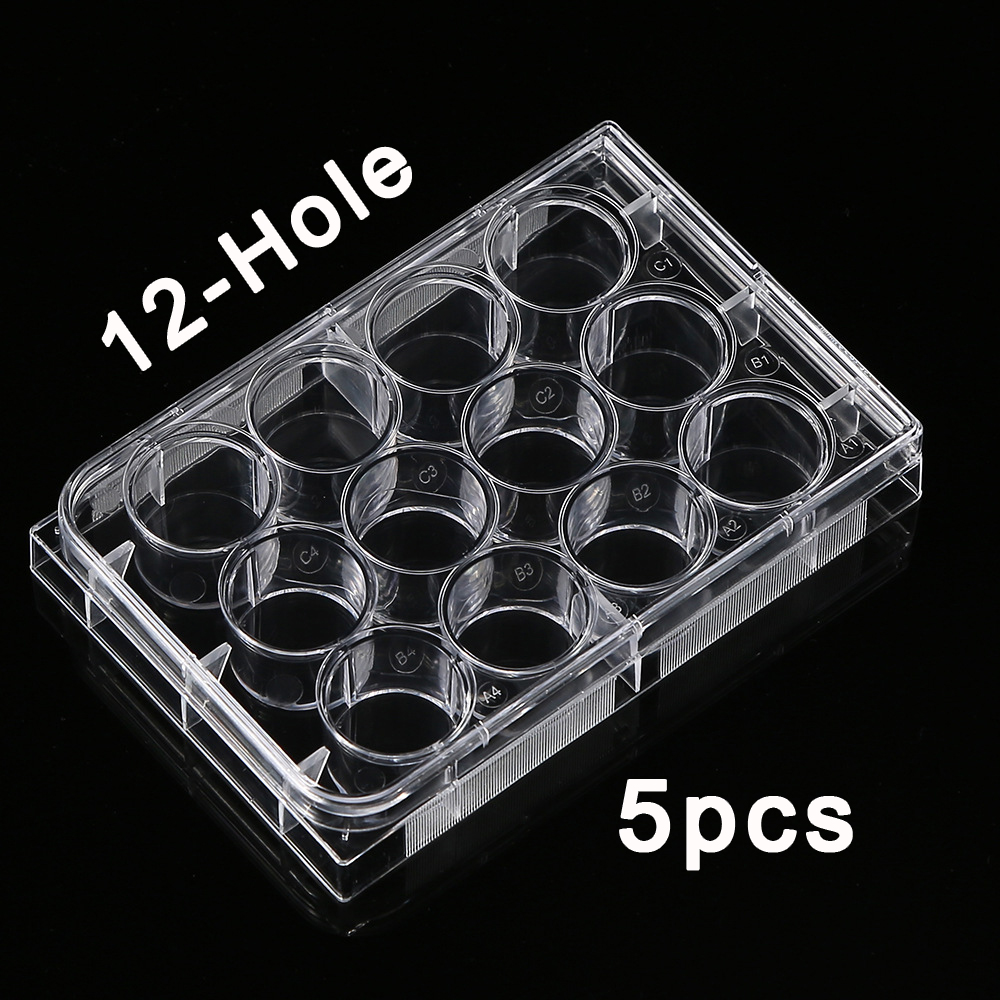 5Pcs Polystyrene 12 Well Petri - Medical Wellness & Spa Werona 评论和价格