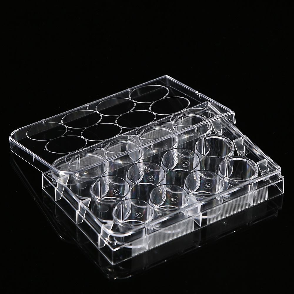5Pcs Polystyrene 12 Well Petri - Medical Wellness & Spa Werona 评论和价格